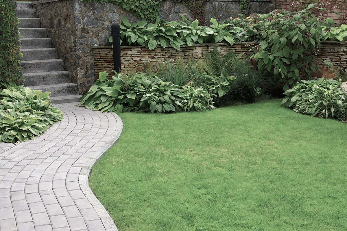 Welcome to Alpha Landscaping